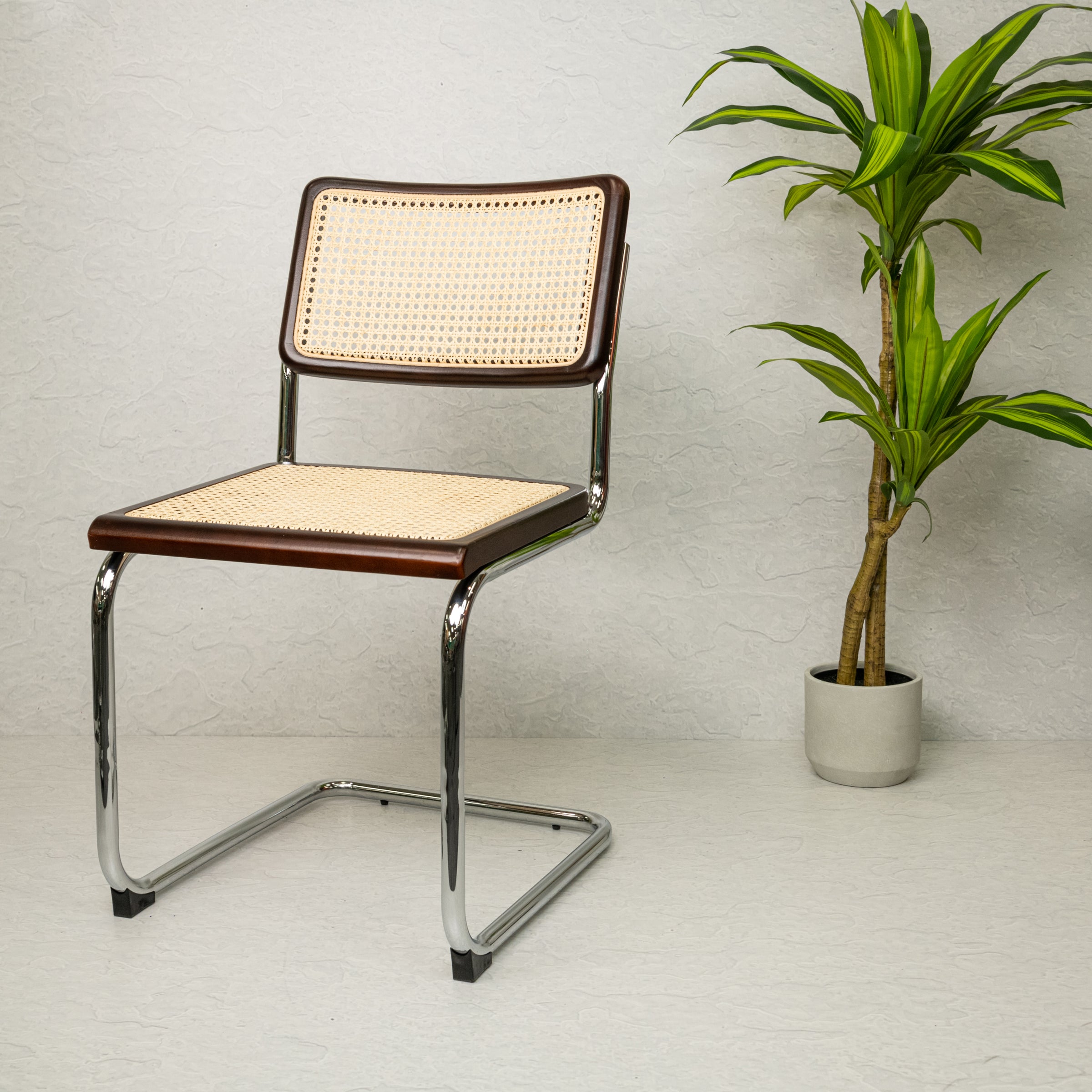 Marcel Breuer Cesca Replica Chair | Walnut V2 (Arriving in November)