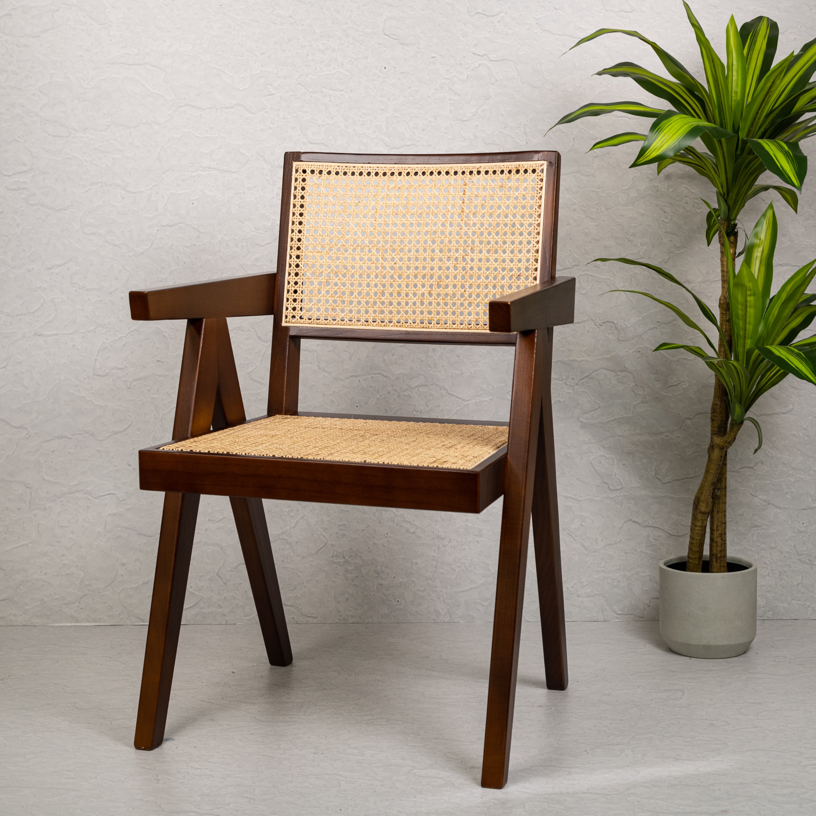 Teak on sale cane chair