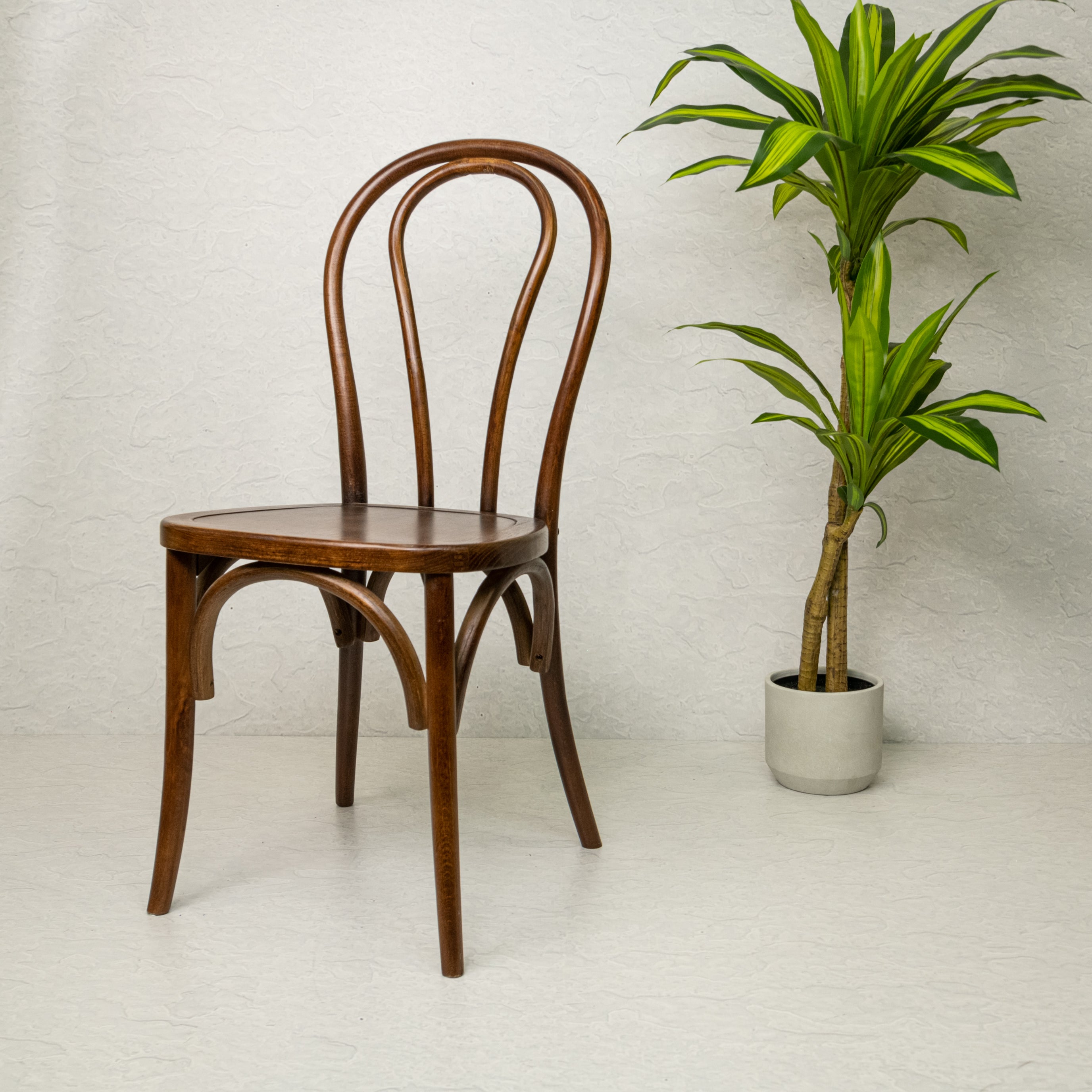 Bentwood furniture for online sale